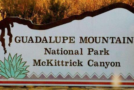 公園標(biāo)志的設(shè)計